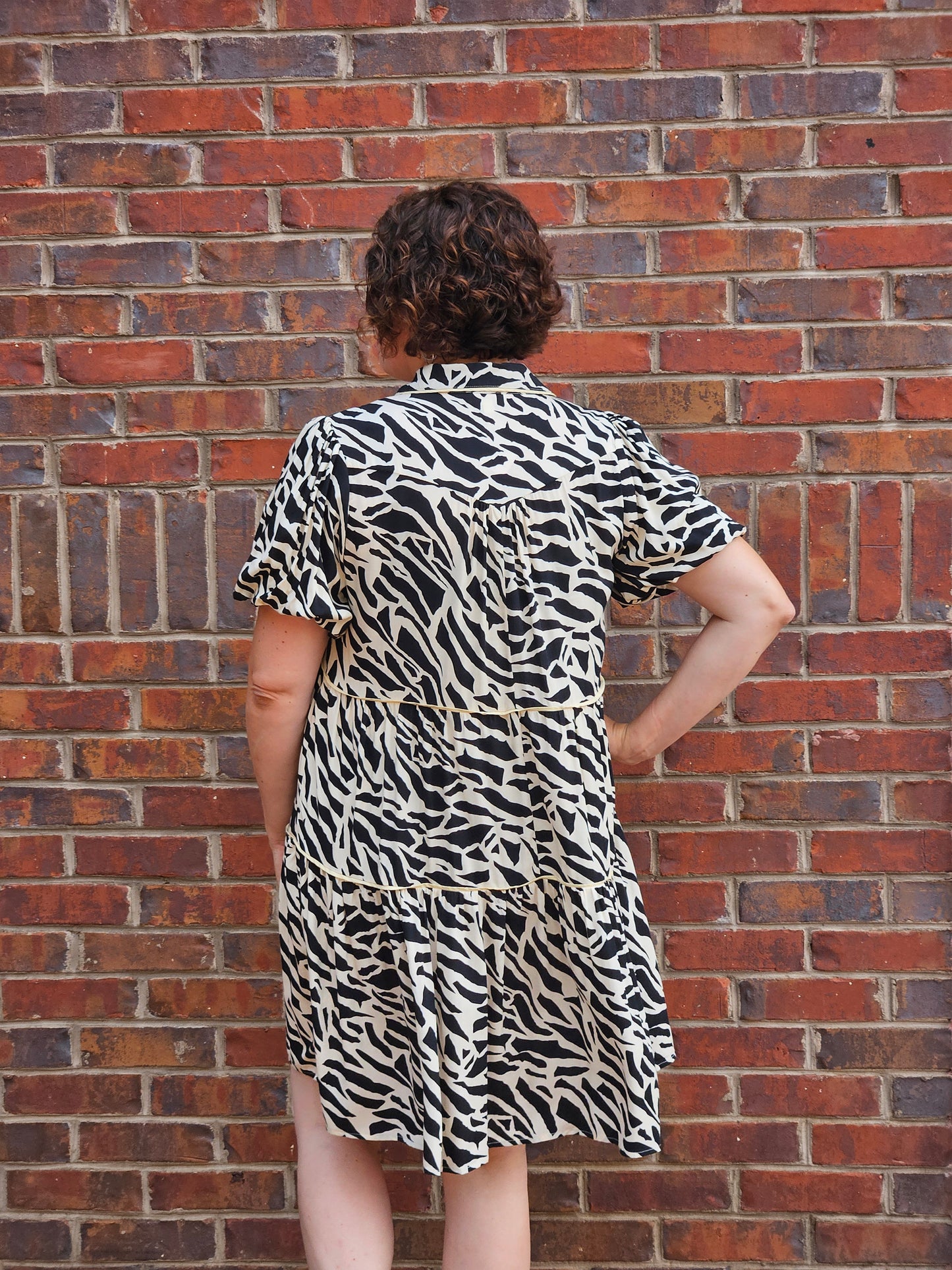 Animal Print Tiered Dress in Black