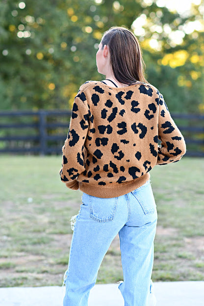 Leopard Print V-Neck Sweater in Mocha and Black